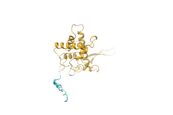 AF-A0A2U8XGH9-F1 image