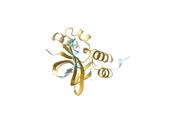 AF-A0A2W5IDT5-F1 image