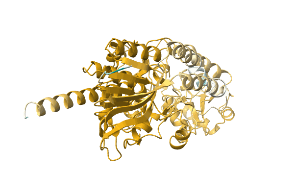 AF-A0A2W5IDX6-F1 image