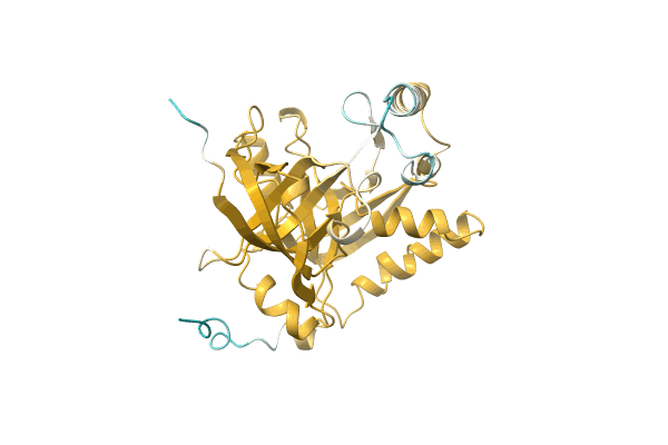 AF-A0A2W5RF52-F1 image