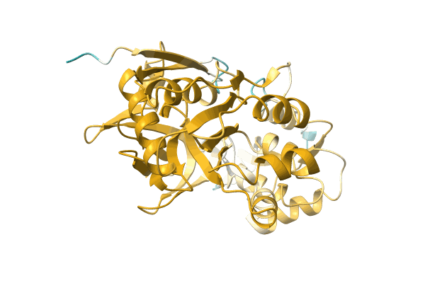 AF-A0A2W5RN22-F1 image