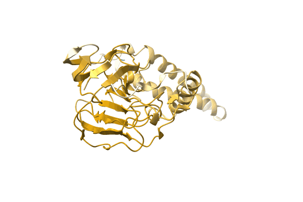 AF-A0A2W5RN55-F1 image