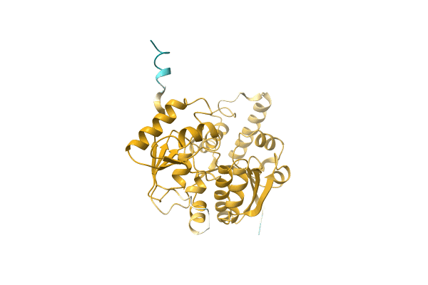 AF-A0A2W5RNH6-F1 image