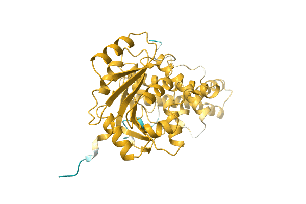 AF-A0A2W5RNI3-F1 image