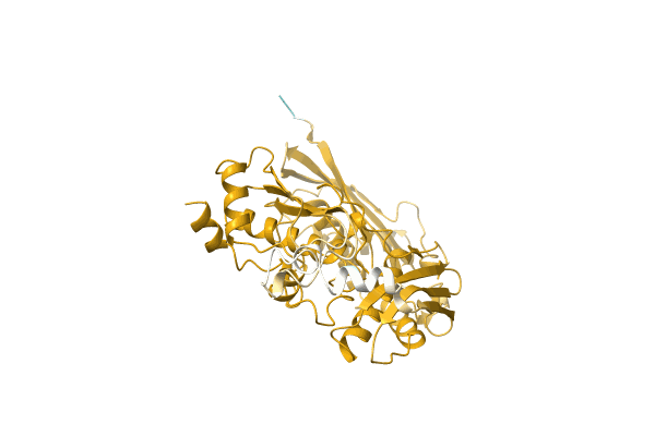 AF-A0A2W5RP05-F1 image