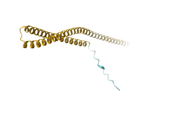 AF-A0A2W5VLB9-F1 image