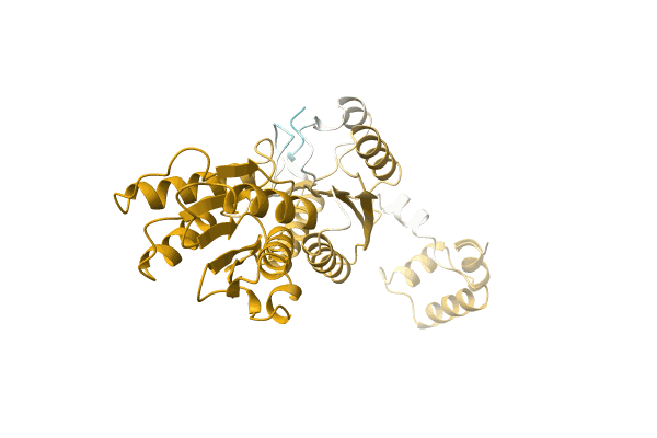 AF-A0A2X2JEY6-F1 image