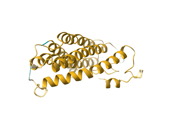 AF-A0A2Z2UBV8-F1 image