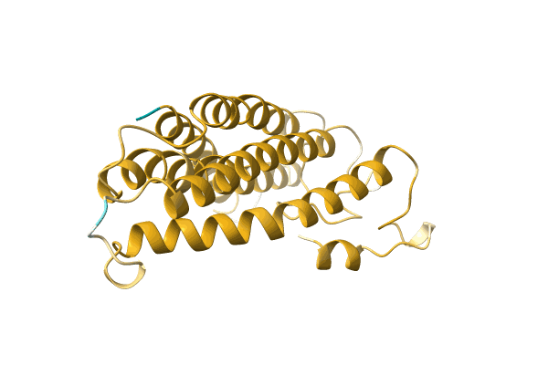 AF-A0A2Z2UDZ4-F1 image