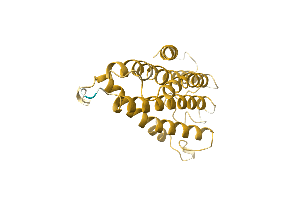 AF-A0A2Z4KBV5-F1 image