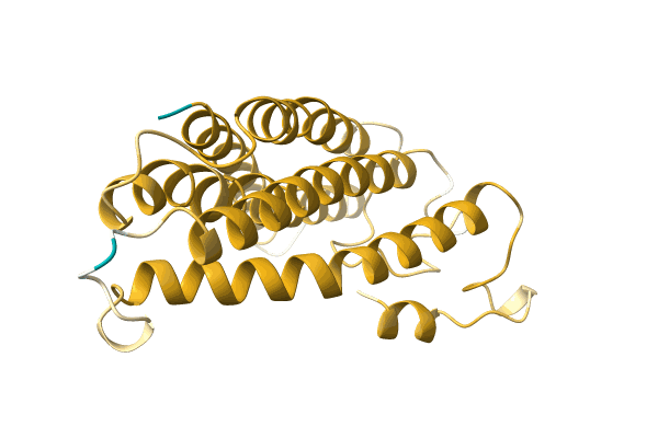 AF-A0A2Z4KFI0-F1 image