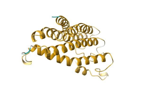 AF-A0A2Z4KFR5-F1 image