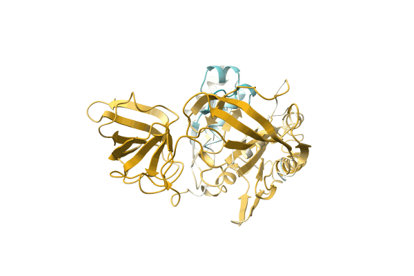 AF-A0A2Z4MXT7-F1 image