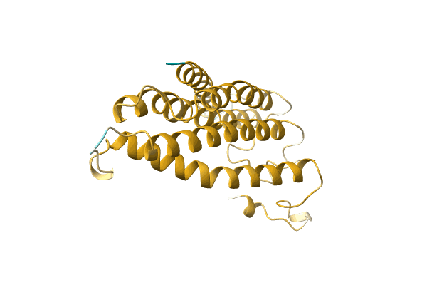 AF-A0A2Z4MZ24-F1 image