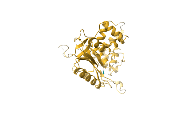 AF-A0A2Z4MZD9-F1 image