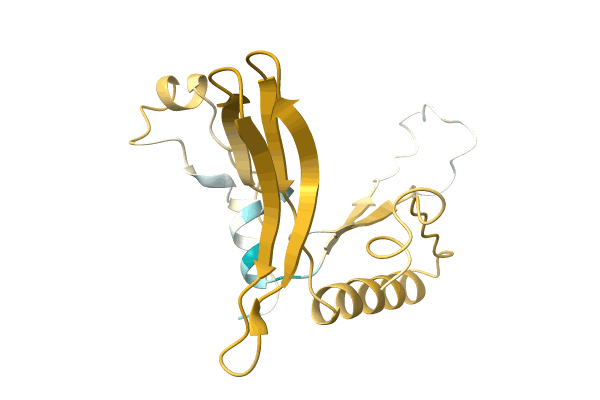 AF-A0A2Z4N1F7-F1 image