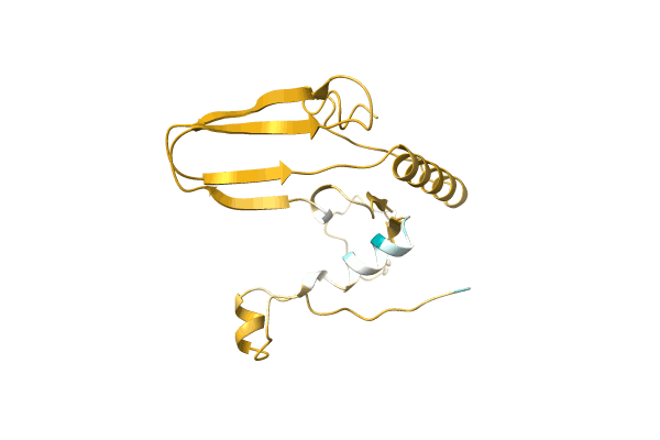 AF-A0A2Z4N1I5-F1 image