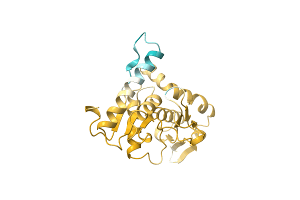 AF-A0A2Z4N240-F1 image