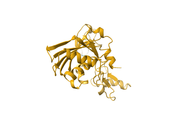 AF-A0A2Z4NAM5-F1 image