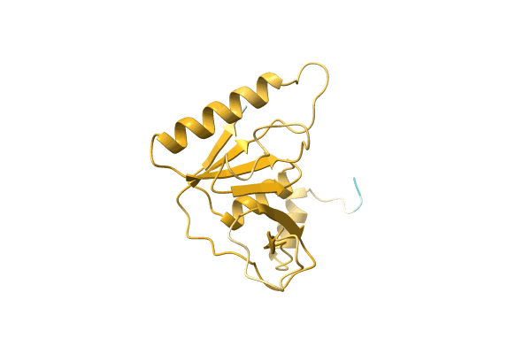 AF-A0A2Z4NAW3-F1 image