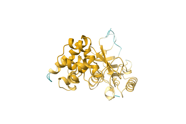 AF-A0A2Z4NAX6-F1 image