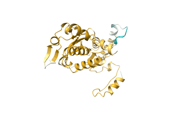 AF-A0A2Z4NAX8-F1 image