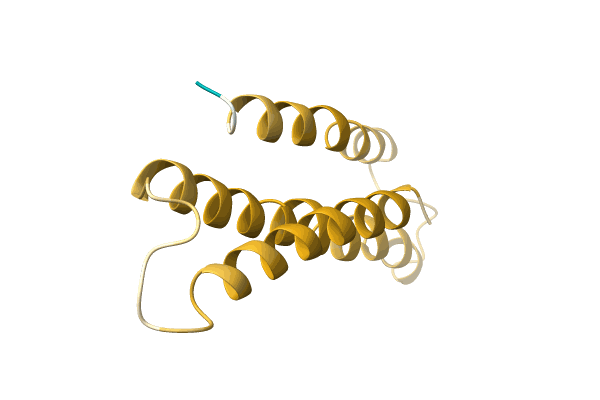 AF-A0A2Z4QPR0-F1 image