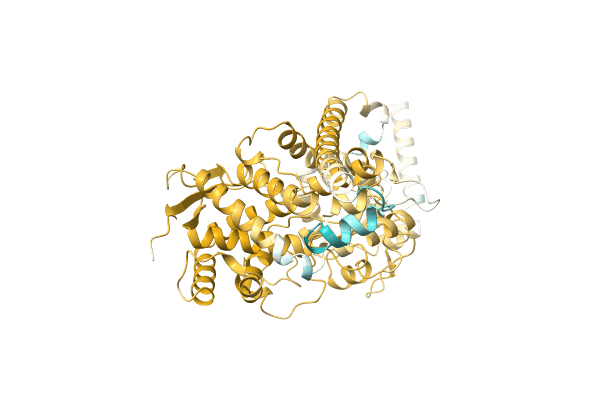 AF-A0A2Z5CT62-F1 image