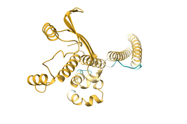 AF-A0A2Z5DZL2-F1 image