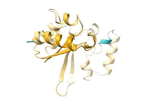 AF-A0A343F091-F1 image