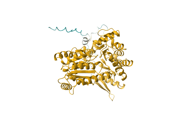 AF-A0A384JAD8-F1 image