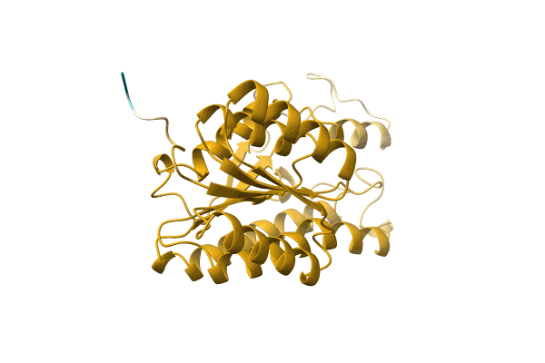 AF-A0A384JQF5-F1 image