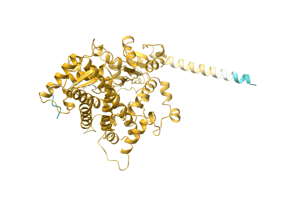 AF-A0A384JQG4-F1 image