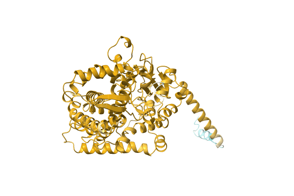 AF-A0A384JQH2-F1 image