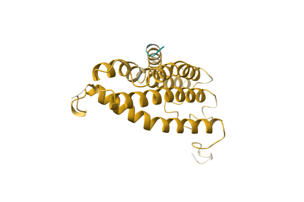 AF-A0A384Z867-F1 image