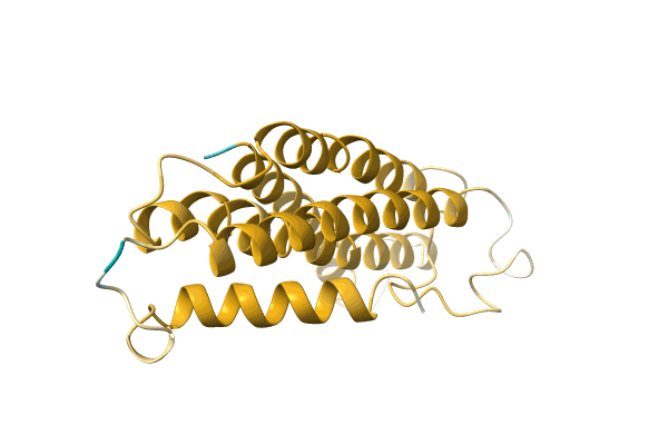 AF-A0A385M424-F1 image