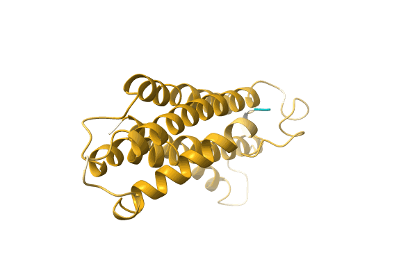 AF-A0A385M5D7-F1 image