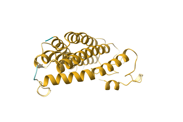 AF-A0A385M5N3-F1 image