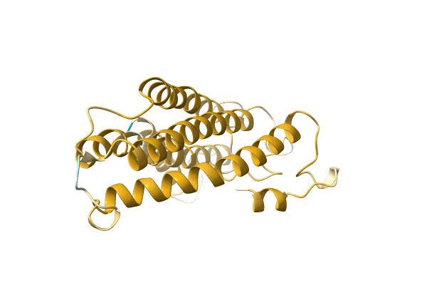 AF-A0A385M778-F1 image