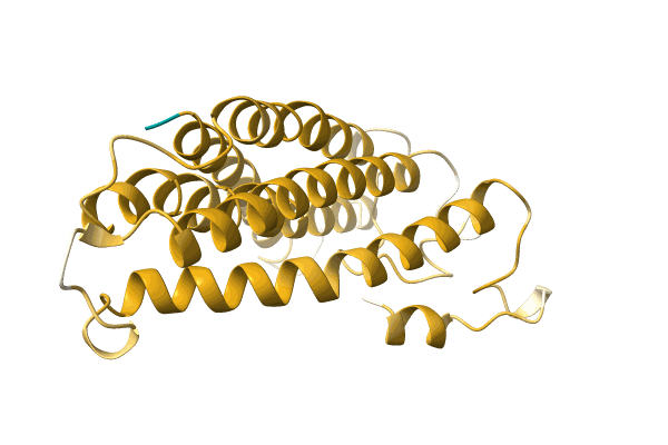 AF-A0A385MA55-F1 image