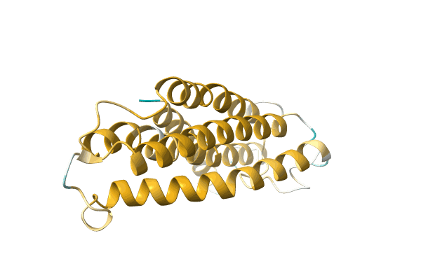 AF-A0A385MAF8-F1 image