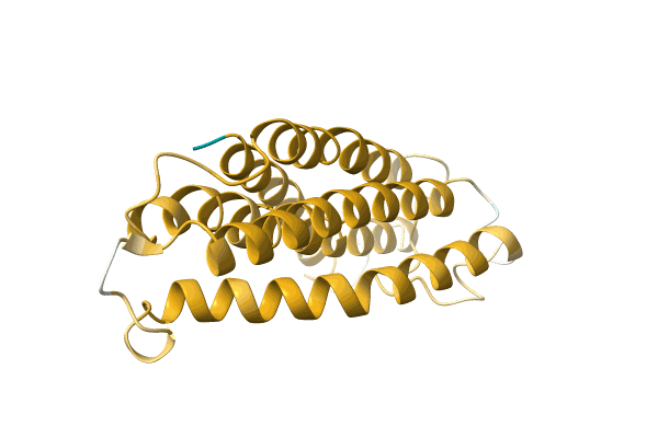 AF-A0A385MAZ4-F1 image