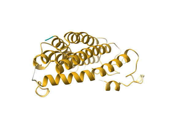 AF-A0A385MBD5-F1 image