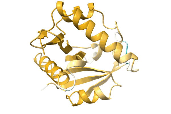 AF-A0A3A4KX68-F1 image