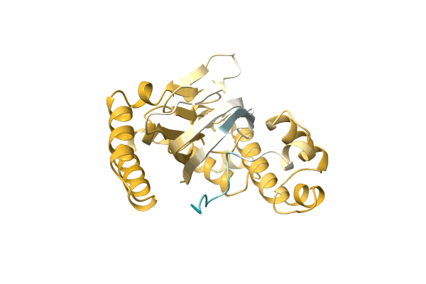 AF-A0A3A4KXN4-F1 image