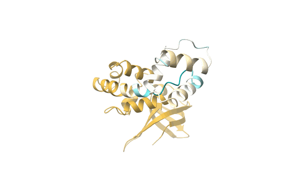 AF-A0A3A4UWI7-F1 image