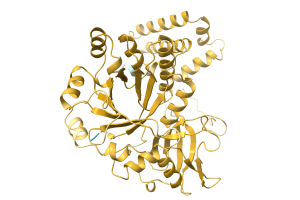 AF-A0A3A8WXL3-F1 image