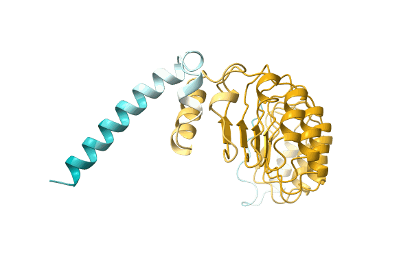 AF-A0A3B3TDS4-F1 image