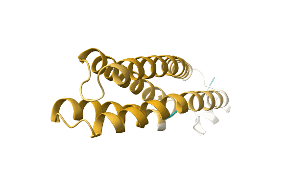 AF-A0A3B8Y0Y1-F1 image