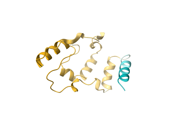 AF-A0A3B8Y0Z3-F1 image